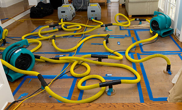 Professional Basement Flood Cleanup technician working in Smithton, MO